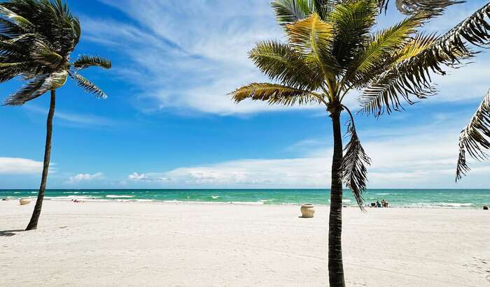 White sand, palms and turquoise water on Hollywood Beach