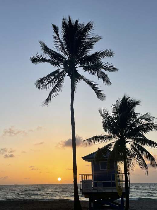 Palm silhouettes and a lifeguard tower at sunrise