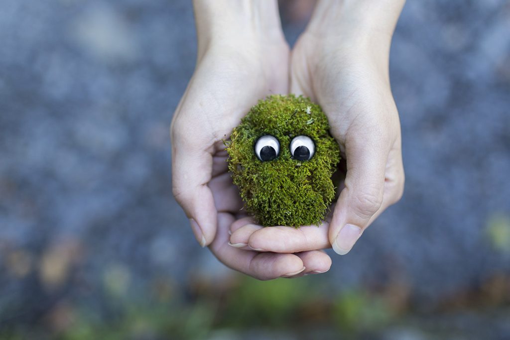 A person holding moss with eyes on top of it.