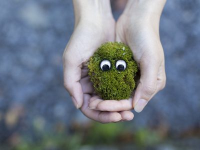 A person holding moss with eyes on top of it.