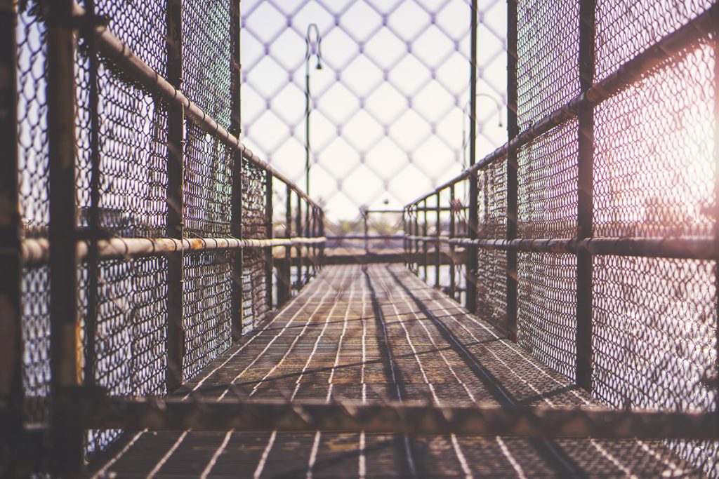 A view of the inside of a fence.