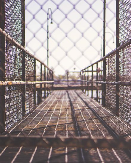 A view of the inside of a fence.
