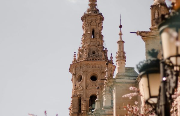 A view of some very pretty buildings with trees in the background.