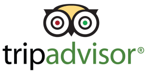 A black and green logo for tripadvisor
