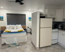 A room with a bed, refrigerator and stove.