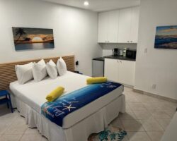 A bedroom with a bed, refrigerator and microwave.