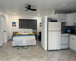 A room with a bed, refrigerator and microwave.