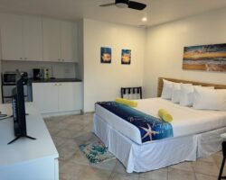 A bedroom with a bed, tv and microwave.